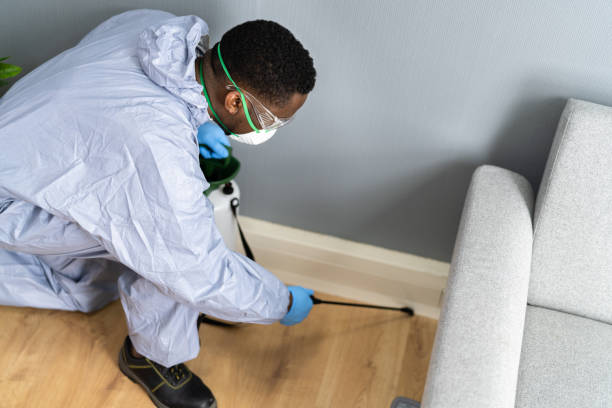 Best Pest Exclusion Services  in Terville, WA